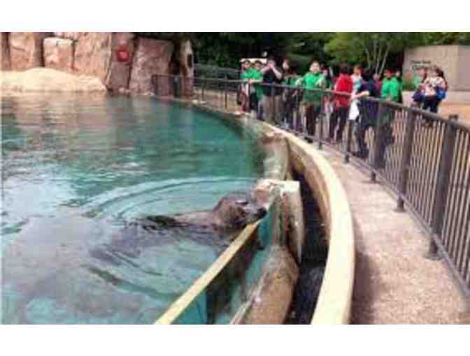 Lincoln Park Zoo: 1-Yr Safari Level Membership