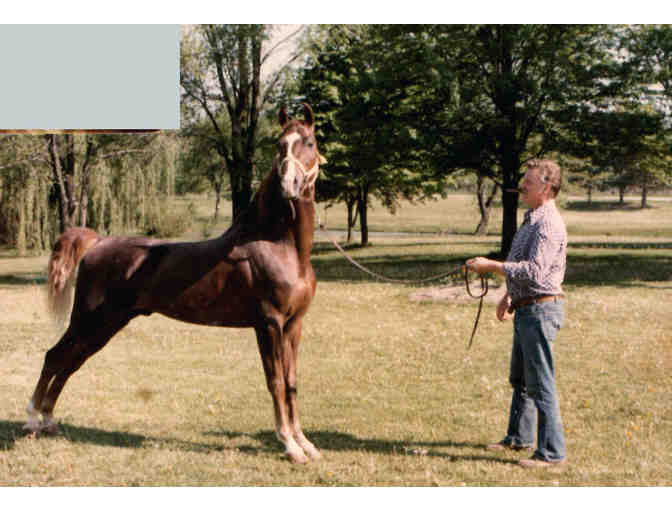 Digitizing Photo Package