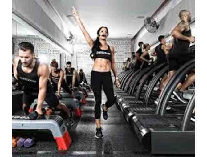 Shred 415 Wicker Park: 5 Pack of Classes