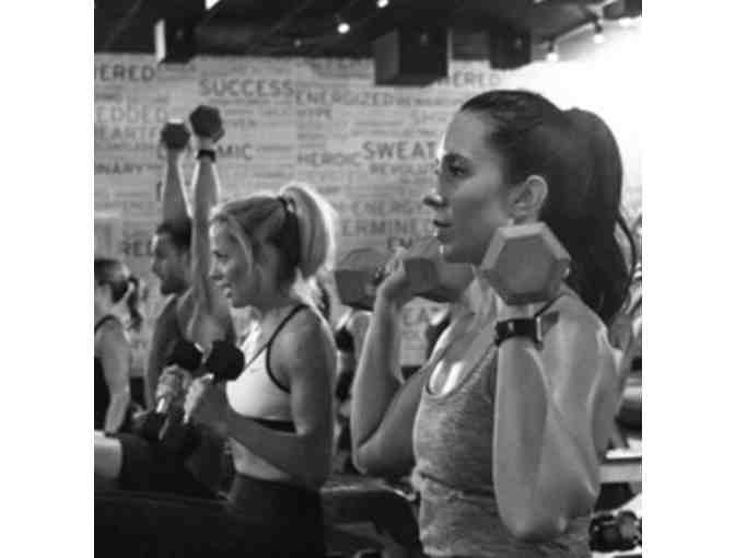 Shred 415 Wicker Park: 5 Pack of Classes