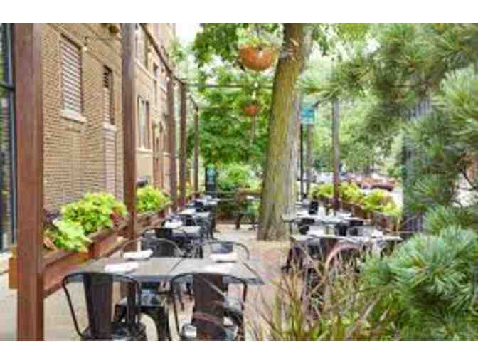 Bar Roma: $50 Gift Certificate