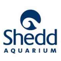 Shedd Aquarium
