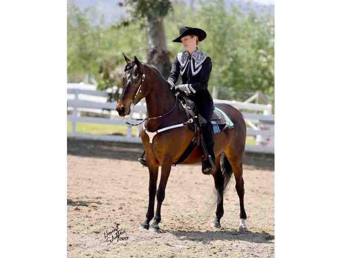 Rushton Stables LA (Lakeview Terrace) - Two (2) Private Horseback Riding Lessons