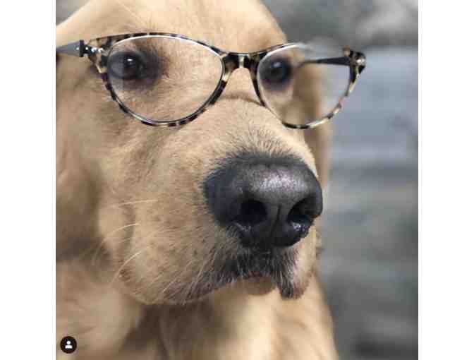 Optical Connection - $75 Off Frames or Sunglasses (Studio City)