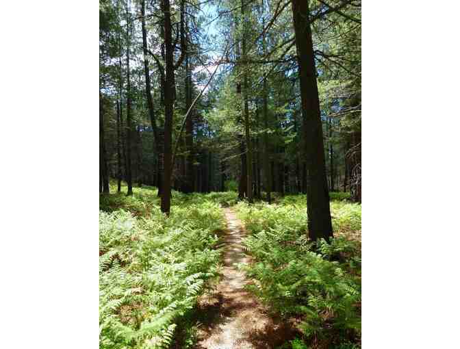 Saguaro Wilderness Weekend Adventure