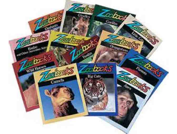 Zoobooks- 1 Year Subscription