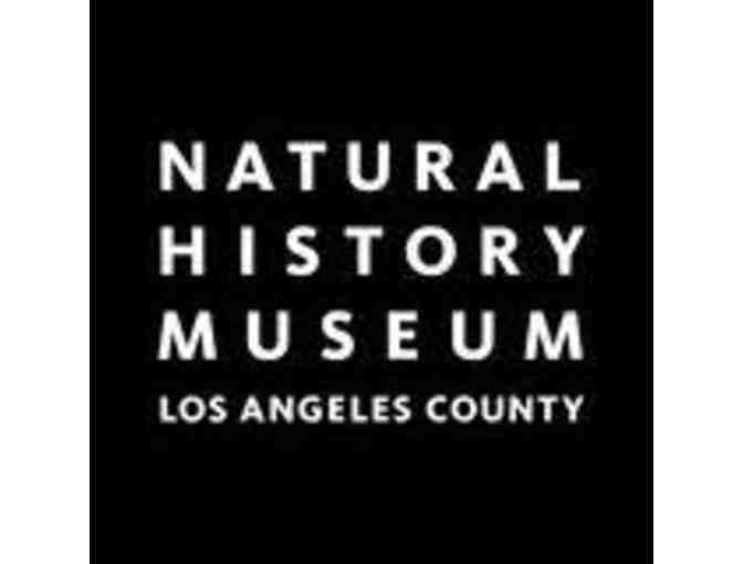 Los Angeles History Museum Experience