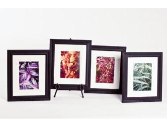 Set of 4 Nature Photography Prints