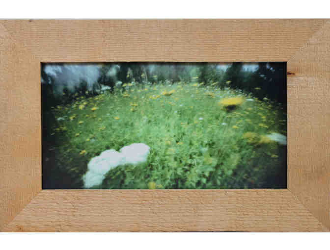 Fred Landis - 'Common Weeds in Field'