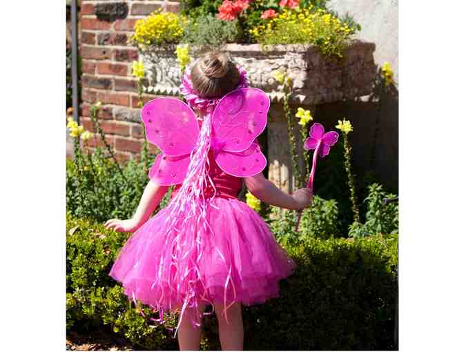 Sparkle Fairy Princess Costume Set