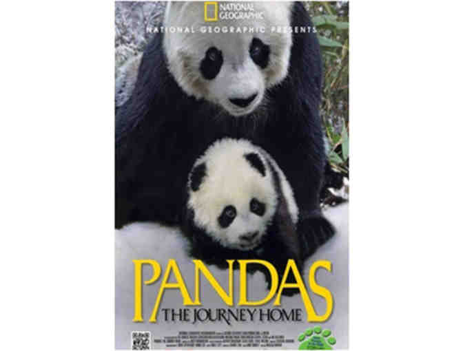 Navy Pier IMAX Theatre- 6 Passes to 'Pandas,' a Stuffed Panda, & Panda Childrens' Books