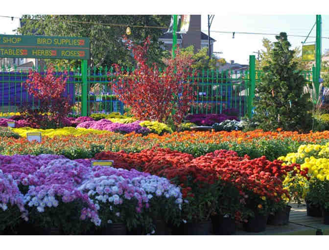 Gethsemane Garden Center - $100 Gift Certificate