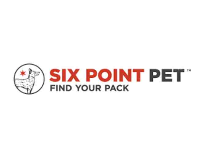 Six Point Pet - Dog Leash and Toy