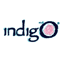 Indigo Studio
