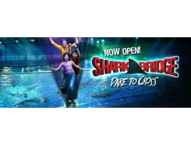 2 Newport Aquarium Tickets - (Shark Bridge experience included)