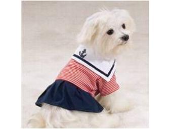 Beach Theme Female Dog Clothes Size X-Small, Carrier, Accessories and Matching Beach Hat