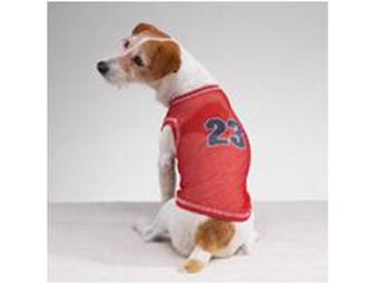 Designer Dog Clothes - 7 Outfits - Male - Extra Small