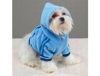 Designer Dog Clothes - 7 Outfits - Male - Medium