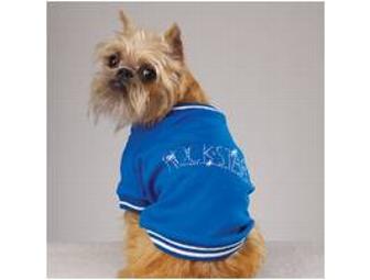 Designer Dog Clothes - 7 Outfits - Male - Small