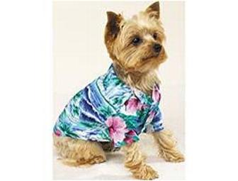 Designer Dog Clothes - 7 Outfits - Male - Large