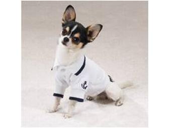 Designer Dog Clothes - 7 Outfits - Male - Large