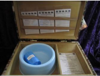 Pet Safety Luggage by Pet I.D, Inc. For Cats or Dogs