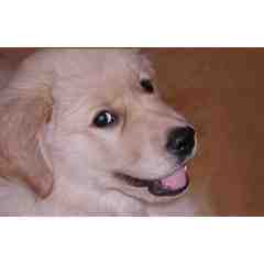 Baron's K9 Country Store