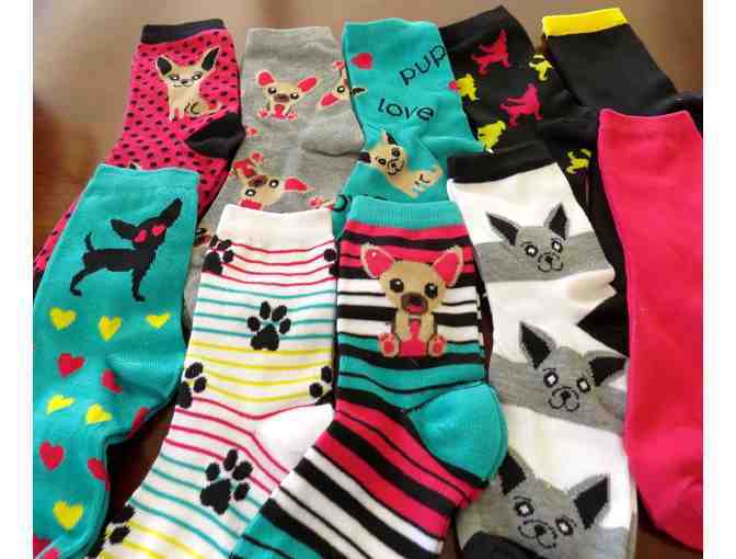 Womens Chihuahua Socks