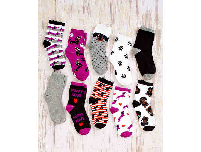 10 Pair Darling Dachshund Socks - Photo 1