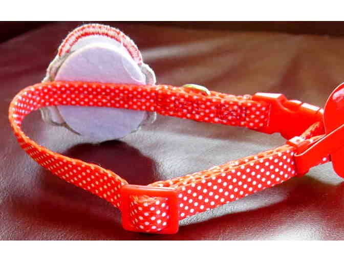 Dog Holiday Collar and Scrunchie Set