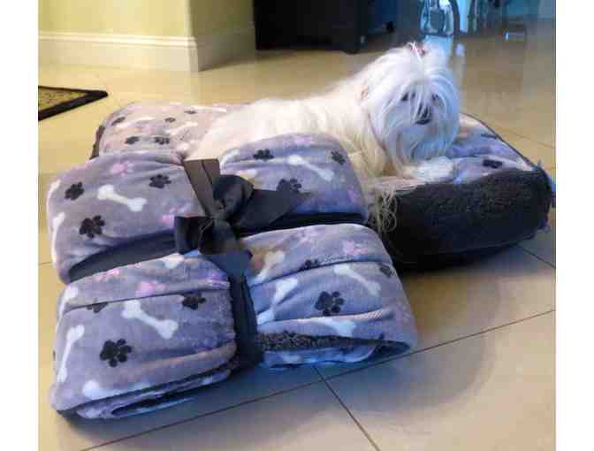 Luxurious Bone and Paw Pet Bed and Throw