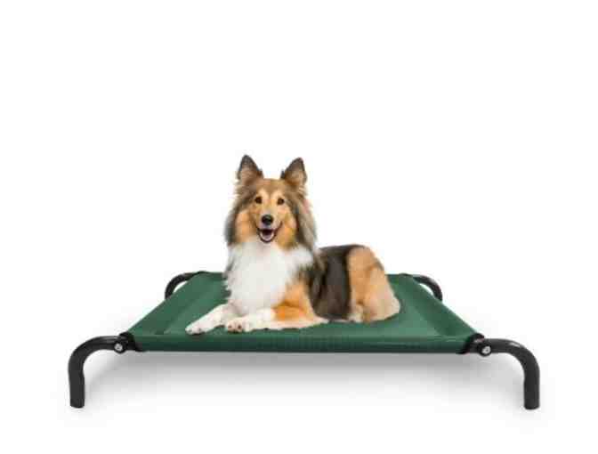 Raised Cot style Pet Bed