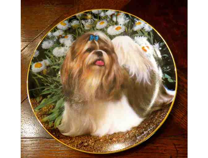 'Picture Perfect' Limited Edition Shih Tzu Collectible Plate