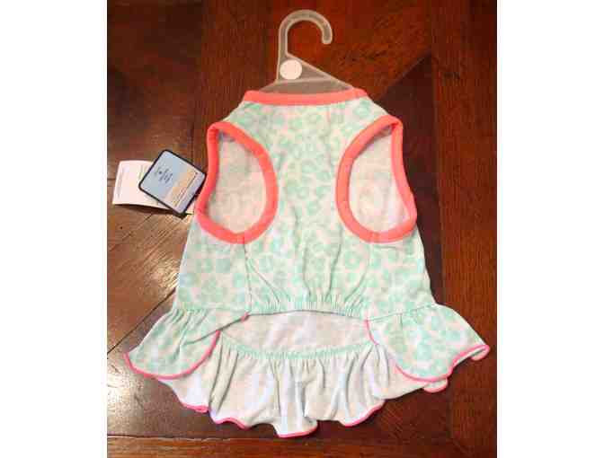 Wildly Cute Mint Dress for your dog