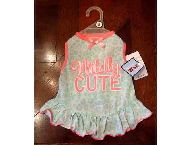 Wildly Cute Mint Dress for your dog