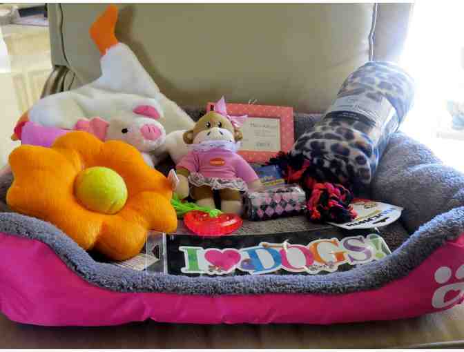 Pretty in Pink Dog Bed Package