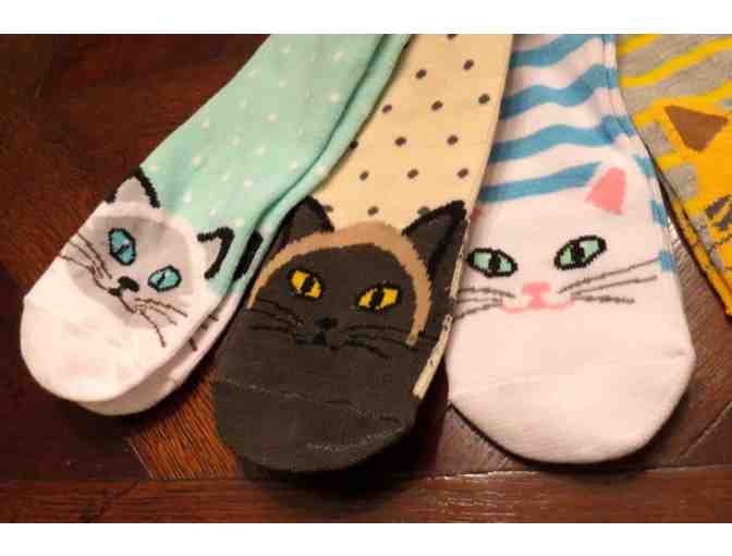 Novelty Cat socks - 8 pairs