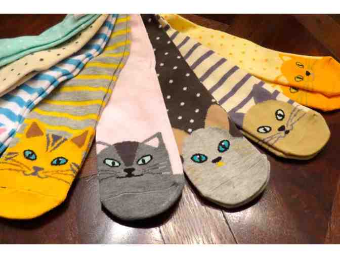Novelty Cat socks - 8 pairs