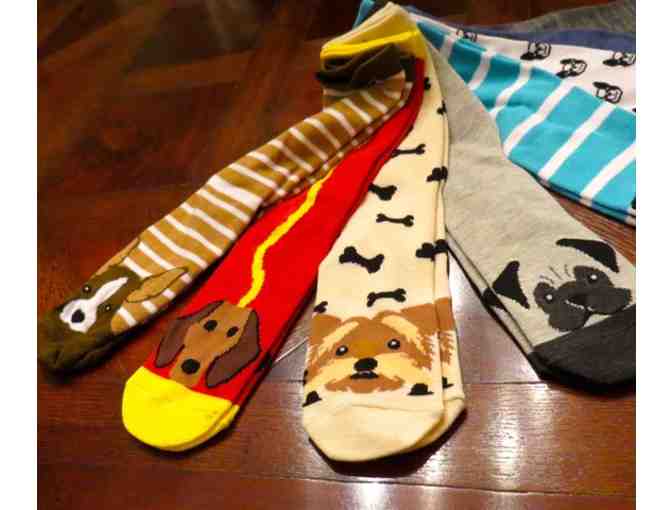 Novelty Socks for Dog Lovers - 8 pairs