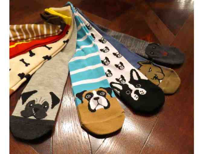 Novelty Socks for Dog Lovers - 8 pairs