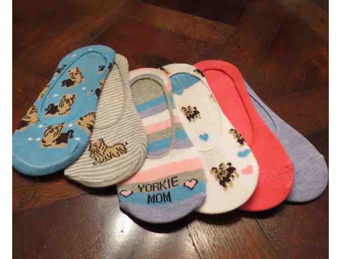 Novelty Yorkie Socks - 6 pairs