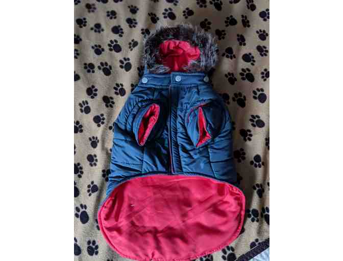 Winter Dog Parka - Blue Gray and red- size Medium