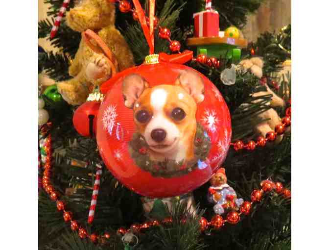 Chihuahua Christmas Tree Ornament - Photo 1