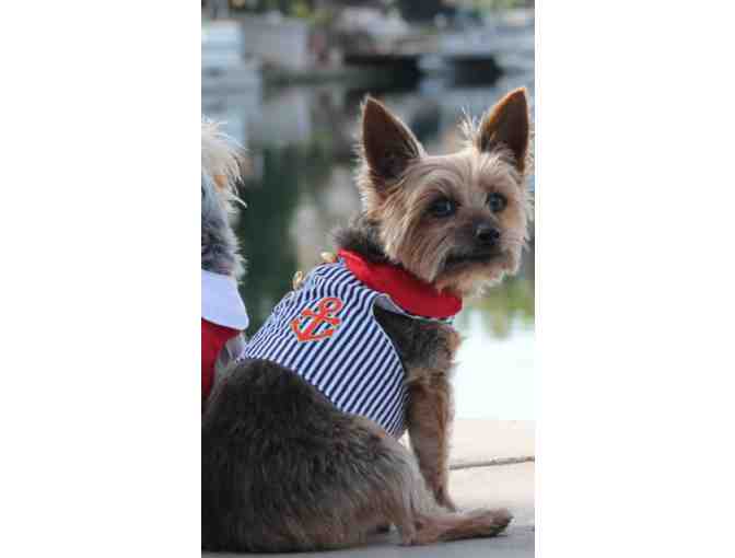 Sailor Boy Dog Harness Vest- So Cute!!!!! Size Medium