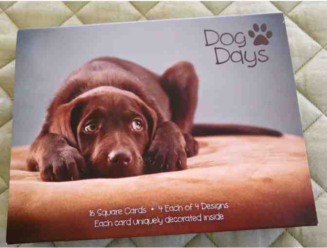 Dog Days note card set - Photo 2