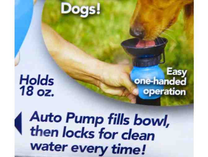 Aqua Dog - water bottle for dogs on the go