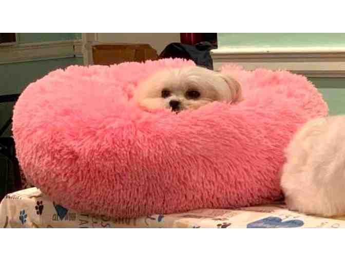 Pink Donut Cuddler Dog/Cat bed