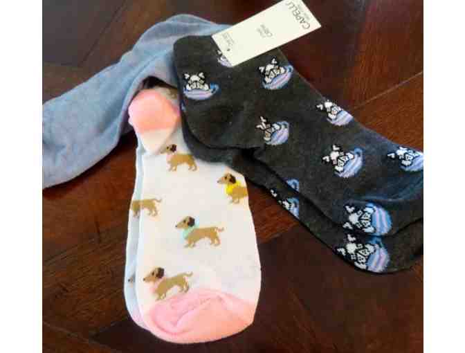 Three Pair of Womens' Socks for Dog Lovers