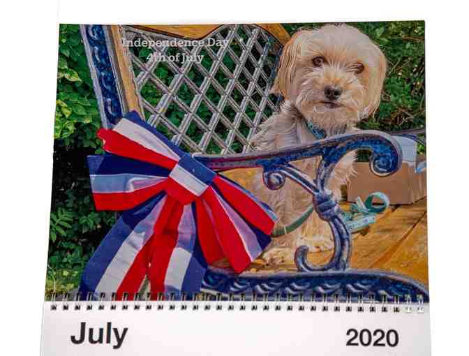 A Year with Gus Adorable Morkie 2020 Calendar