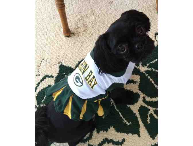 Green Bay dog Cheerleader Dress Size Small